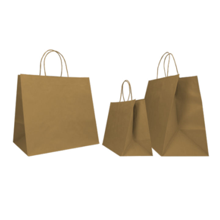 SAC PAPIER  POIGNÉE TORSADÉES| 28x17x29 | Centuryshop