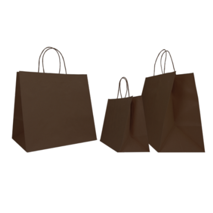 SAC PAPIER  POIGNÉE TORSADÉES| 28x17x29 | Centuryshop