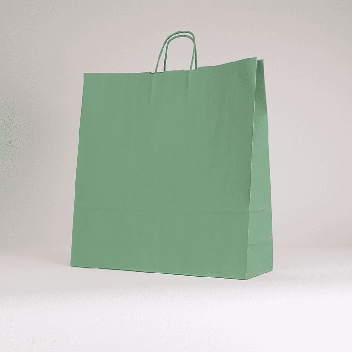 SAC PAPIER  POIGNÉE TORSADÉES| 26x11x24 | Centuryshop