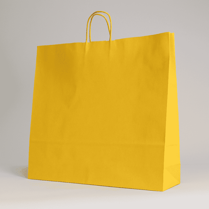PAPIERTÜTE MIT GEDREHTEM HEBEL | 54x14x45 | Centuryshop