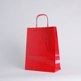 SAC PAPIER  POIGNÉE TORSADÉES| 18x08x24 | Centuryshop