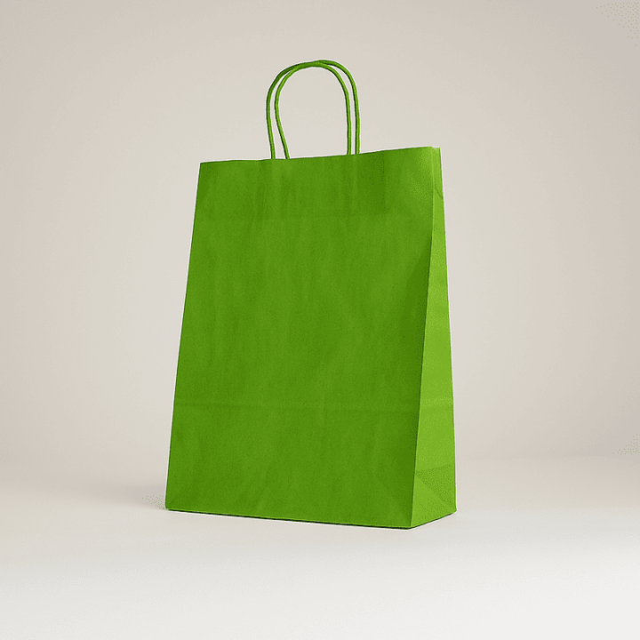 SAC PAPIER  POIGNÉE TORSADÉES| 18x08x24 | Centuryshop