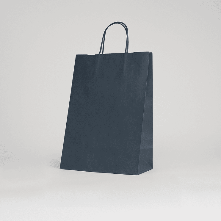 SAC PAPIER  POIGNÉE TORSADÉES| 18x08x24 | Centuryshop
