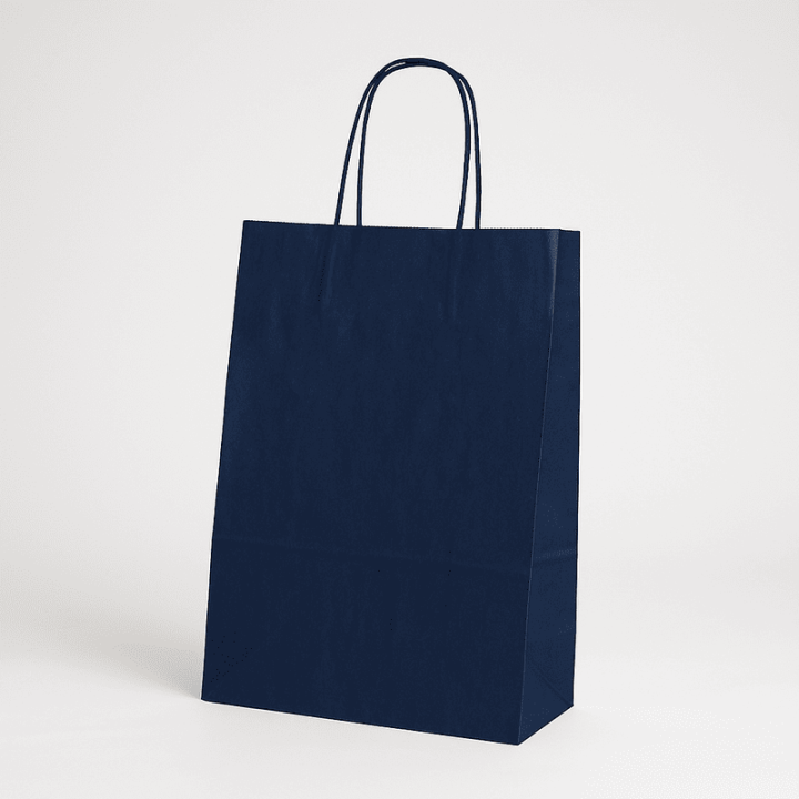 SAC PAPIER  POIGNÉE TORSADÉES| 18x08x24 | Centuryshop