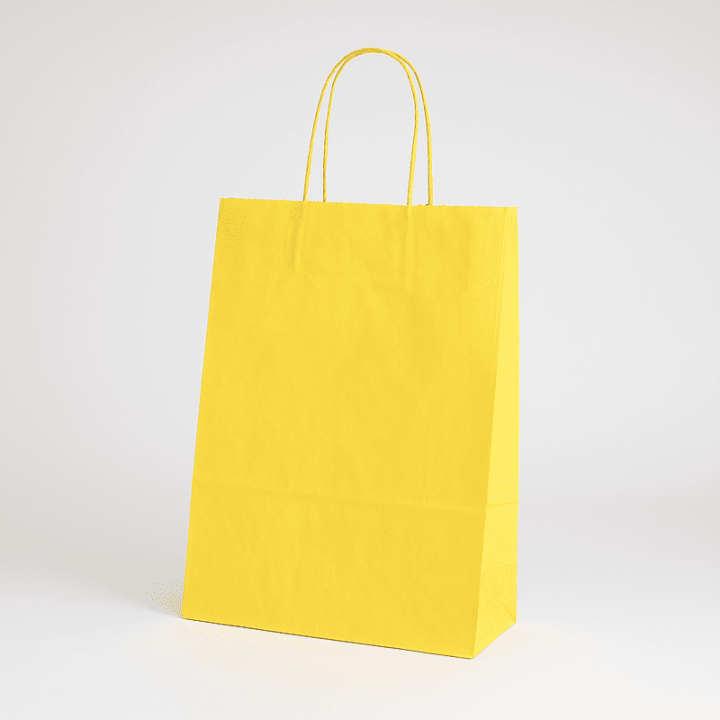 SAC PAPIER  POIGNÉE TORSADÉES| 18x08x24 | Centuryshop