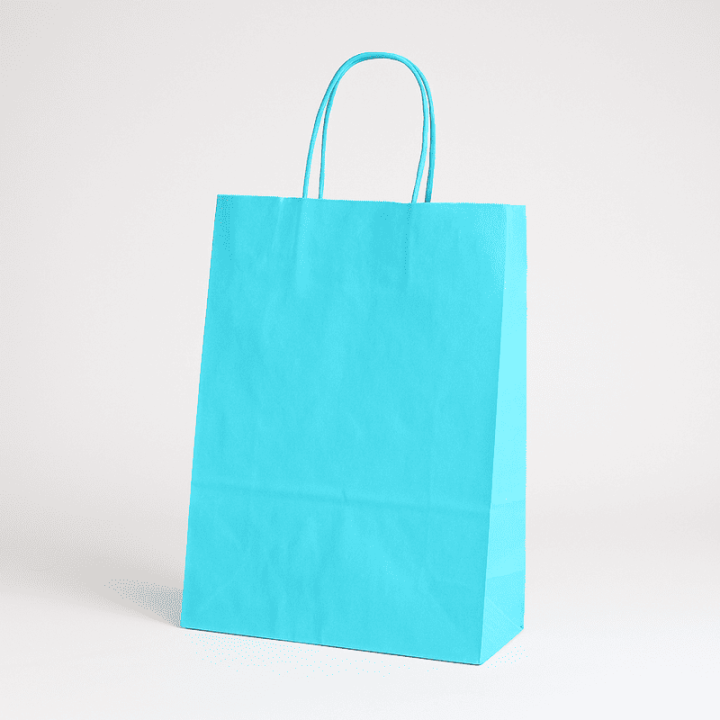 SAC PAPIER  POIGNÉE TORSADÉES| 18x08x24 | Centuryshop
