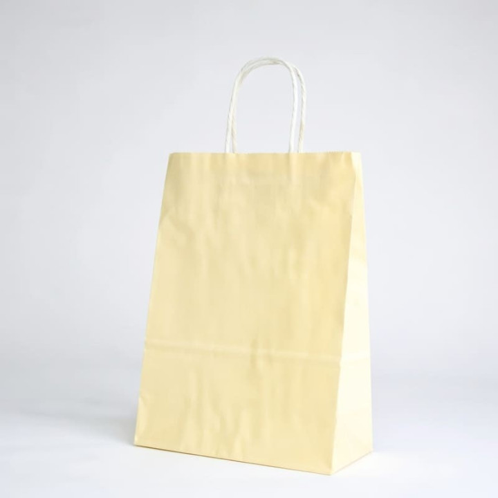 SAC PAPIER  POIGNÉE TORSADÉES| 22x10x29 | Centuryshop