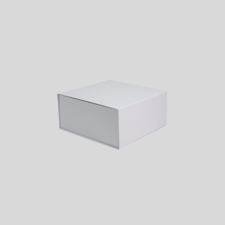 The Loop | Centuryshop