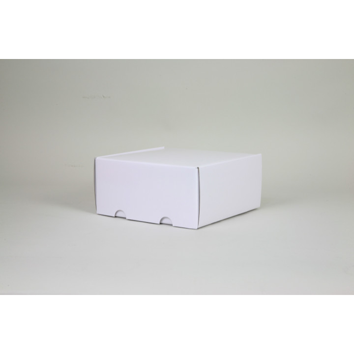 Postpack - Versandkarton - Verpackung für sicheren Postversand