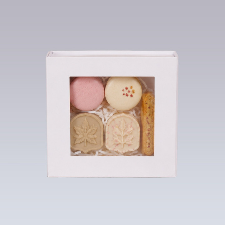 Clearbox -Magnetbox mit Sichtfenster