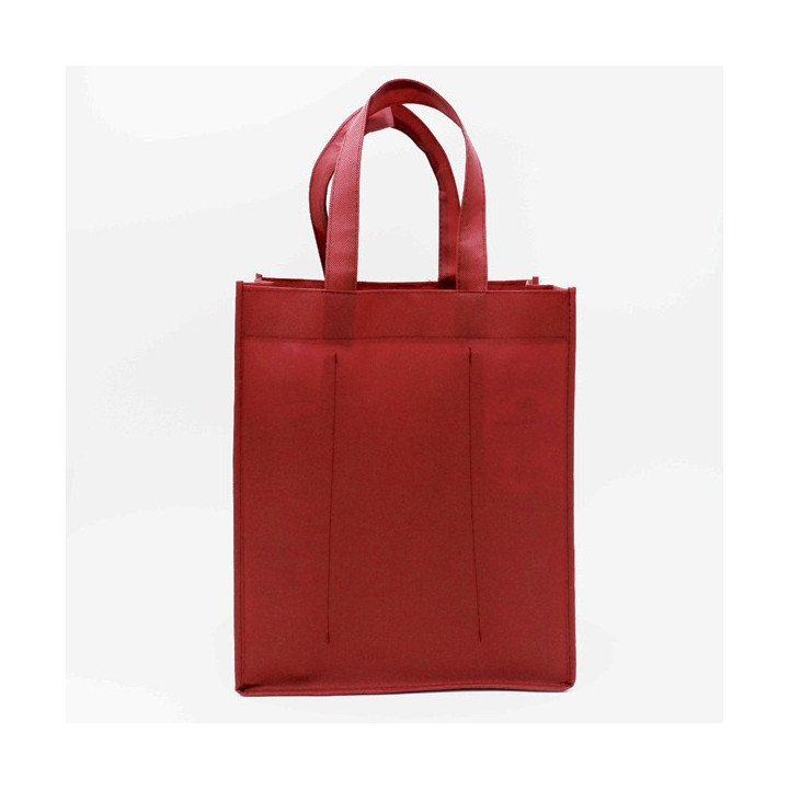 TNT LUS Tasche für 4 oder 6 Flaschen