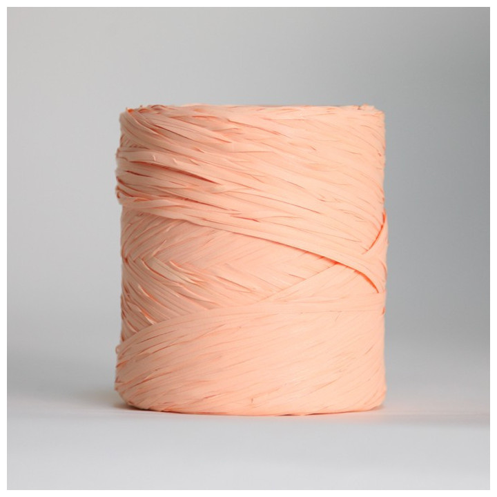 ruban raphia 12.5mm x 200m