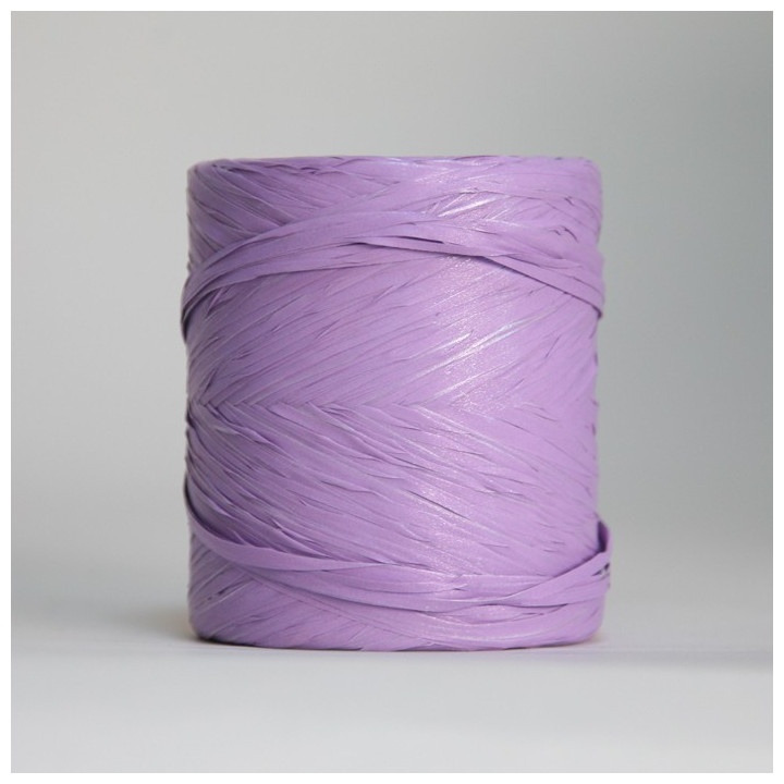 ruban raphia 12.5mm x 200m