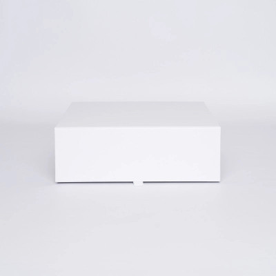 3 BOUTEILLES (33X28,5X9,5 CM) 3 BOUTEILLES (33X28,5X9,5 CM)