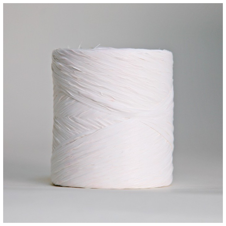 Raphia lint van 12.5mm x 200 meter
